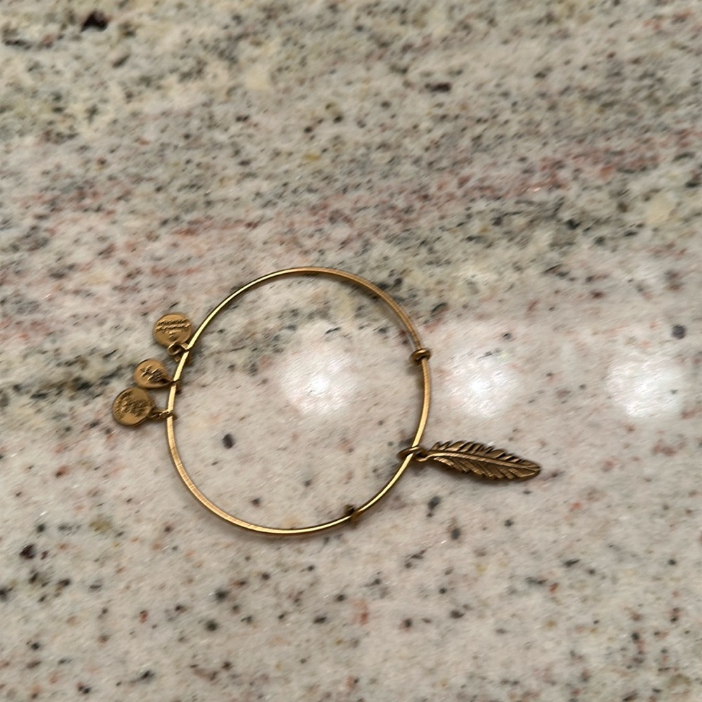 Alex and Ani gold feather bangle